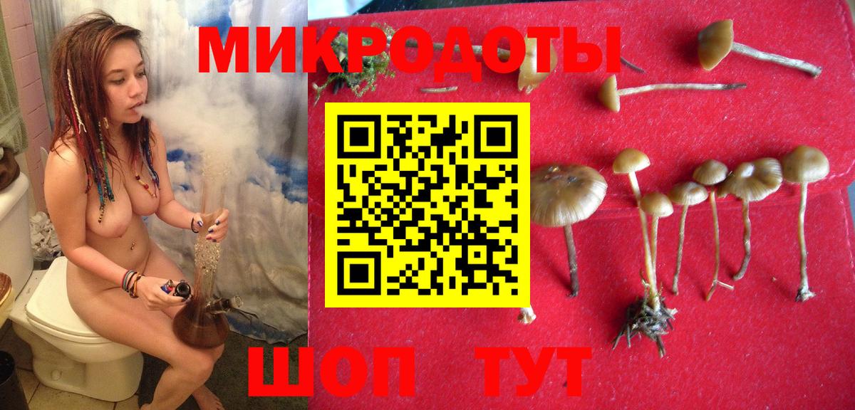 Копейск  Галлюциногенные грибы прущие грибы  Вход с VPN 